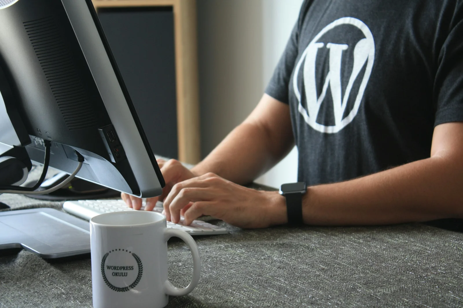 Will WordPress Replace Web Developers in the Future?