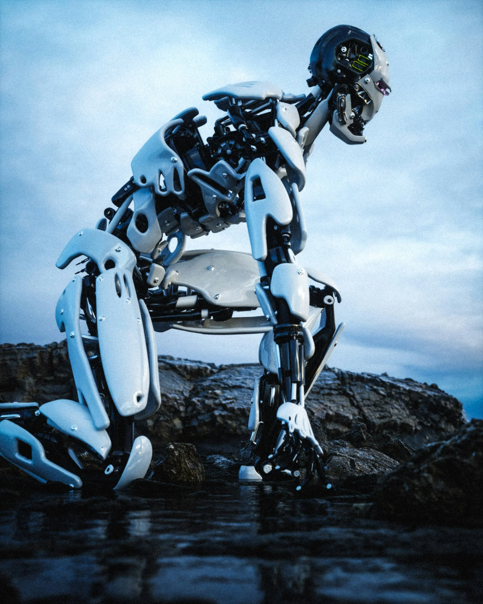 The Evolution of AI