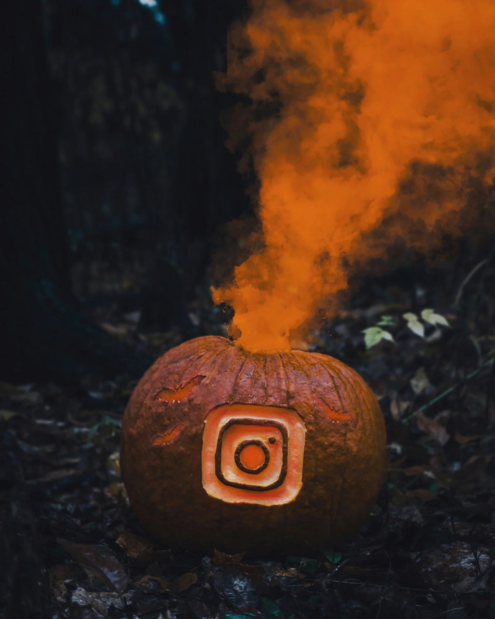 How Instagram Ads Charge Businesses – Pricing & Cost Breakdown