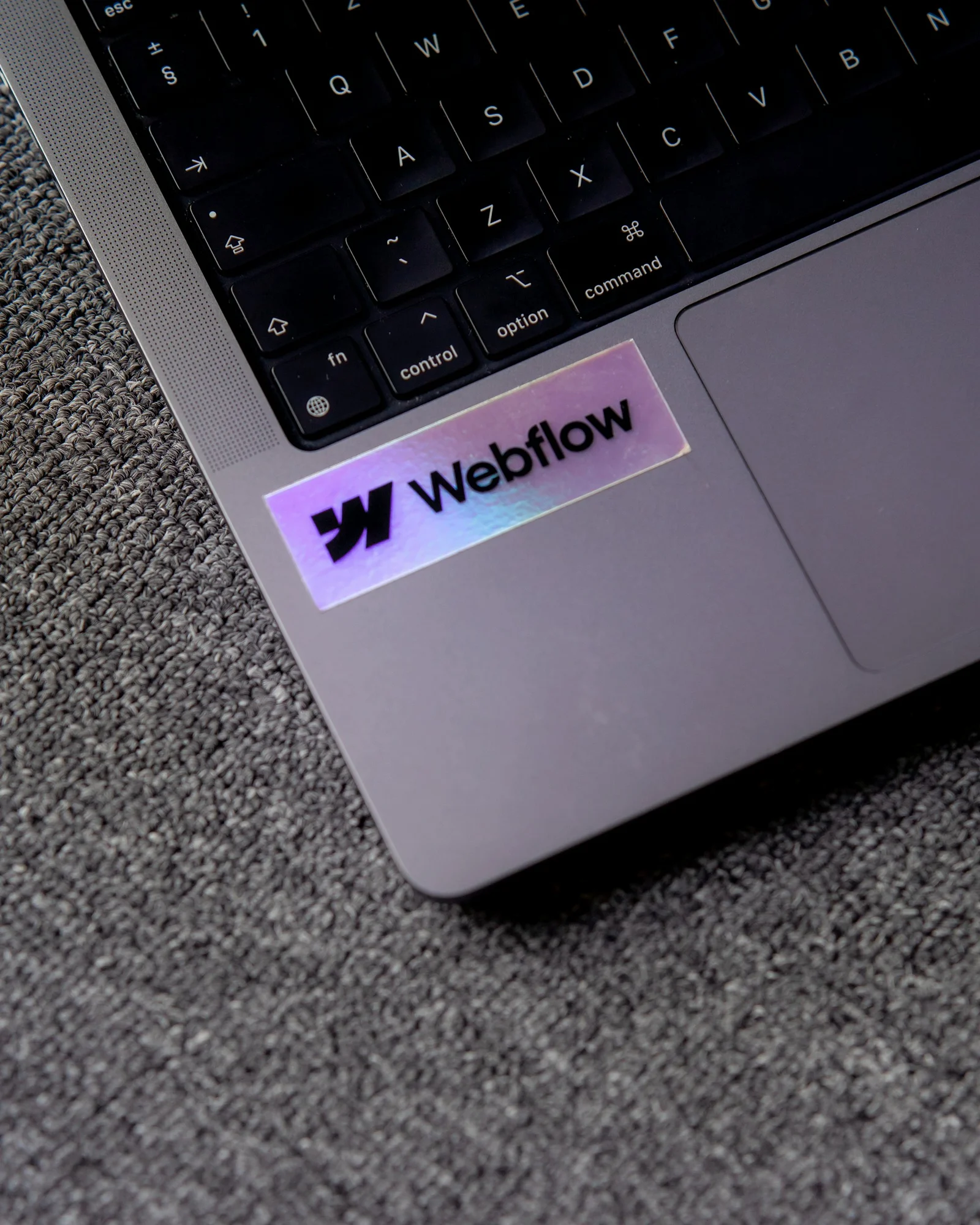 Will Webflow Replace Web Developers? The Future of No-Code Development