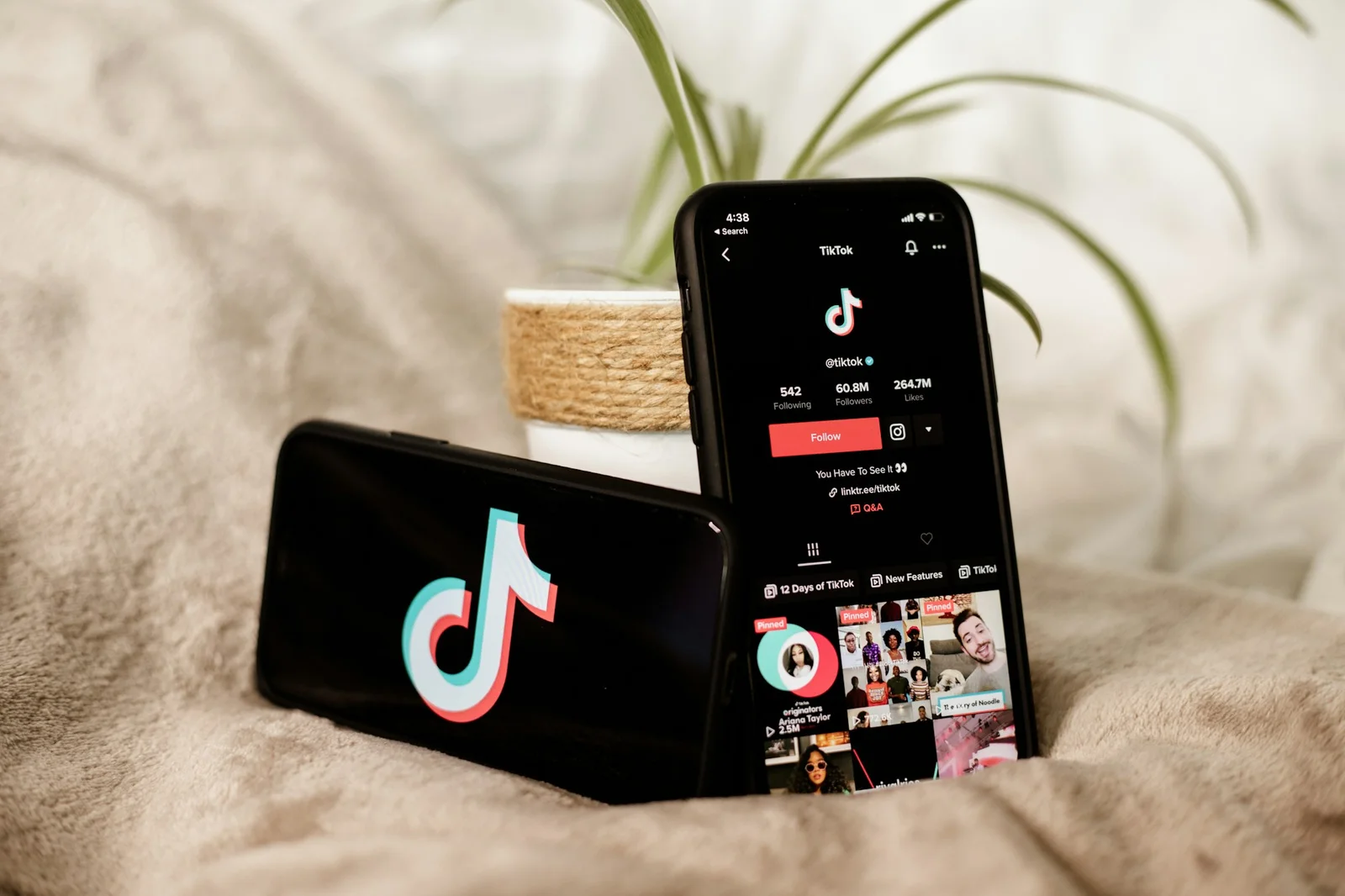 How TikTok Ads Can Go Viral: Unlocking the Secrets of Success