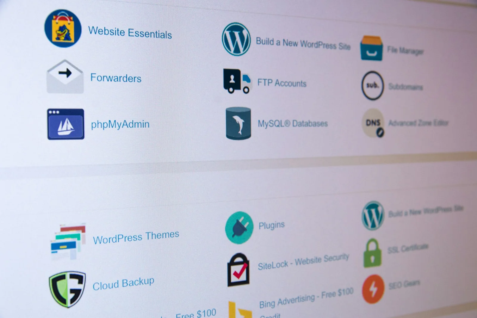 WordPress Data Storage