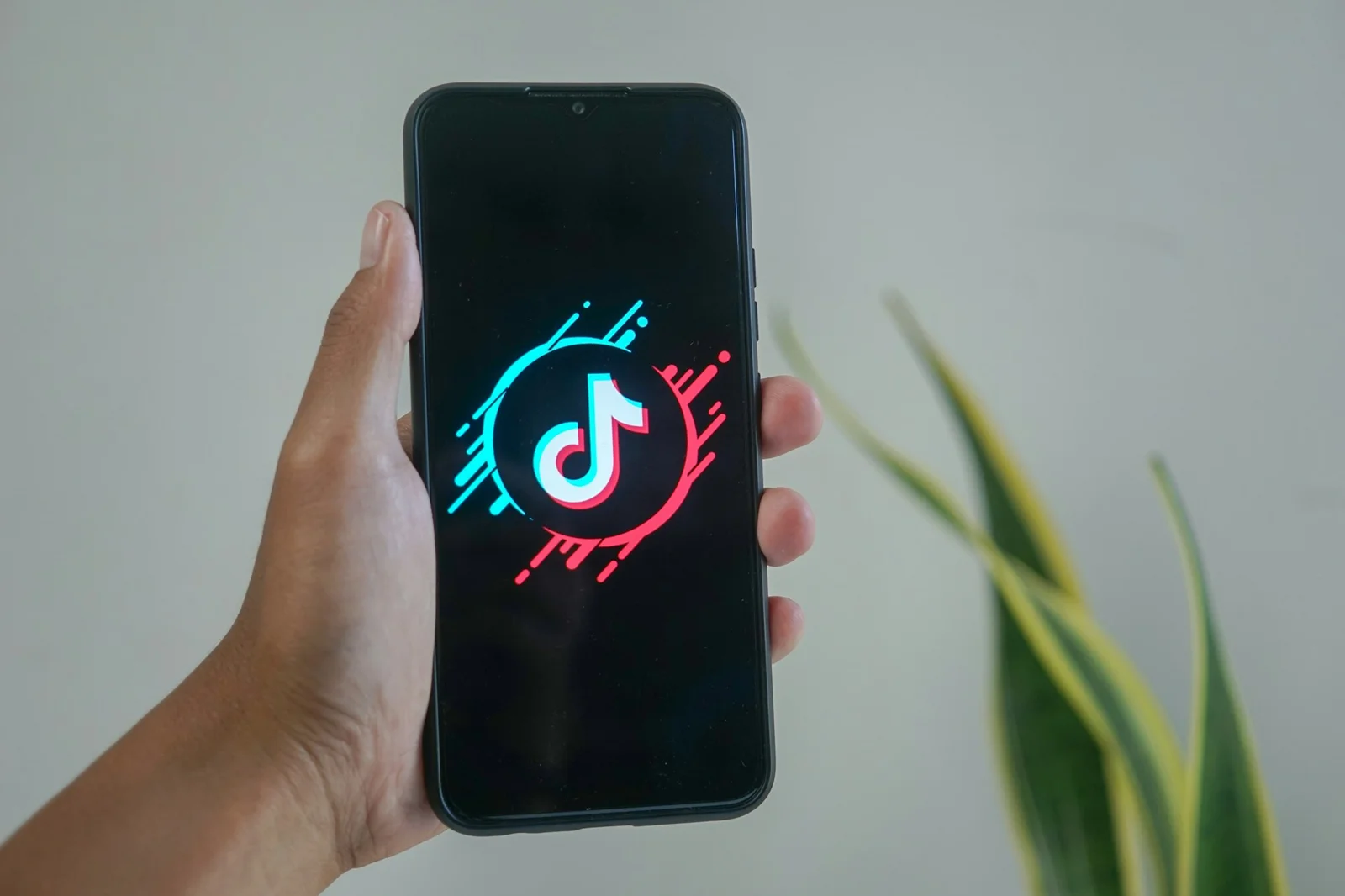 TikTok Ads Pricing in 2025