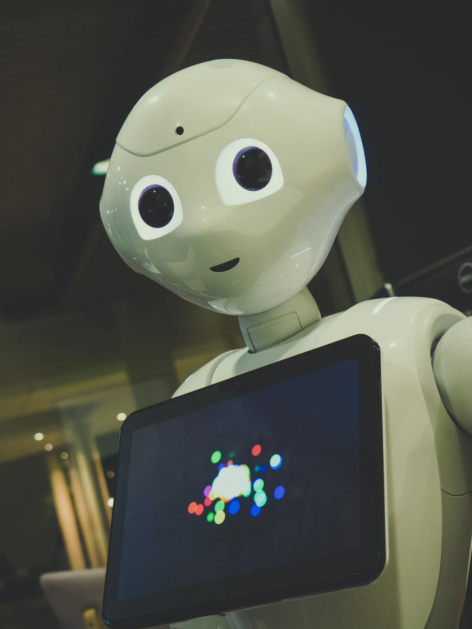 The Future of Machine Learning Engineers in an Automated World