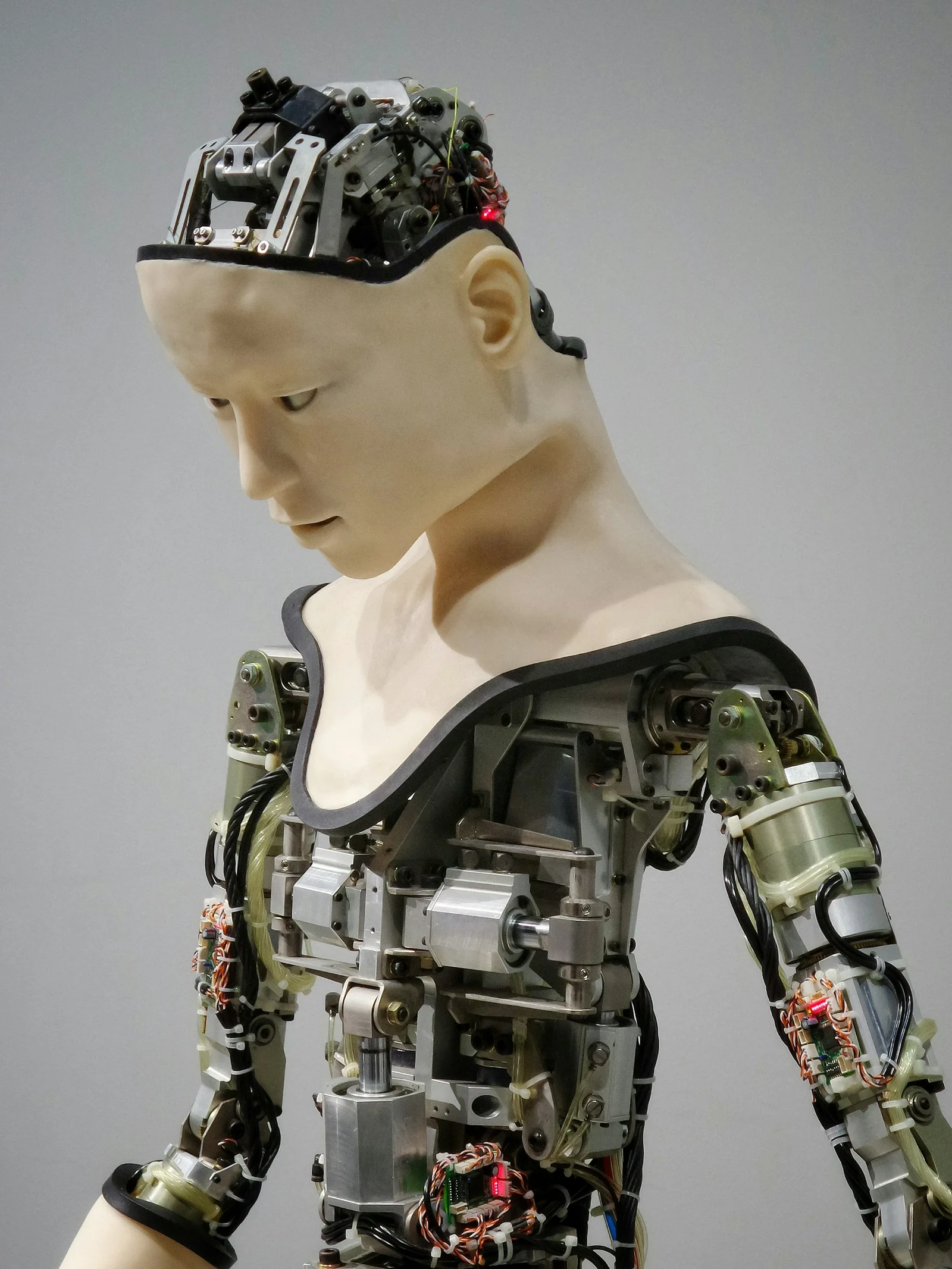 How Machine Learning Works: The Power Behind AI